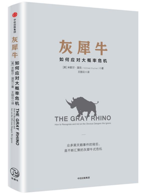灰犀牛：如何应对大概